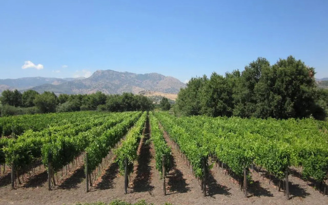 Tenuta Antica Cavalleria