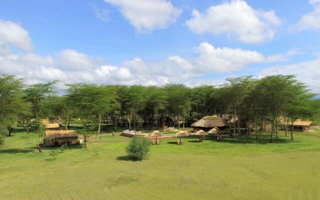 Africa Safari Lake Manyara