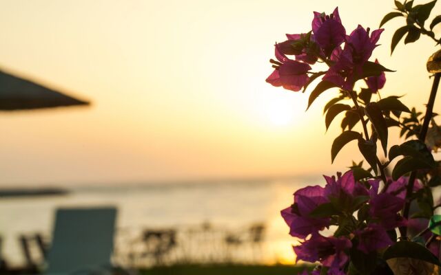 Kyparissia Blue
