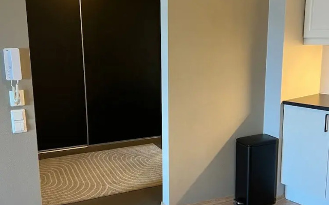 Arctic Aurora Suite in Center of Alta