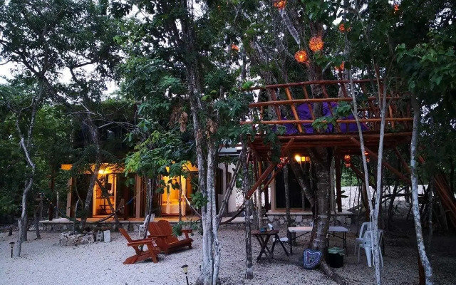 Iguana Rana Cabins Bacalar