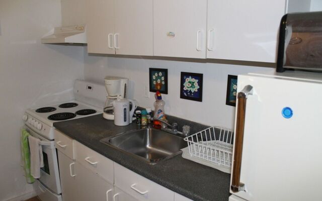 Adib Apartments - 224 Woodroffe Ave, Unit 4 (Basement)