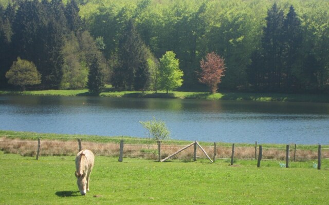 Comfortable Holiday Home in Somme-leuze With Garden