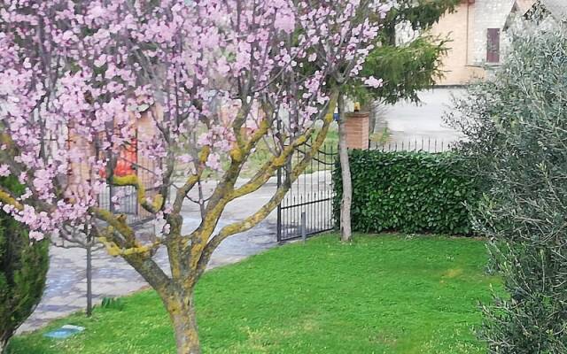Residenza Fabiola a Gubbio