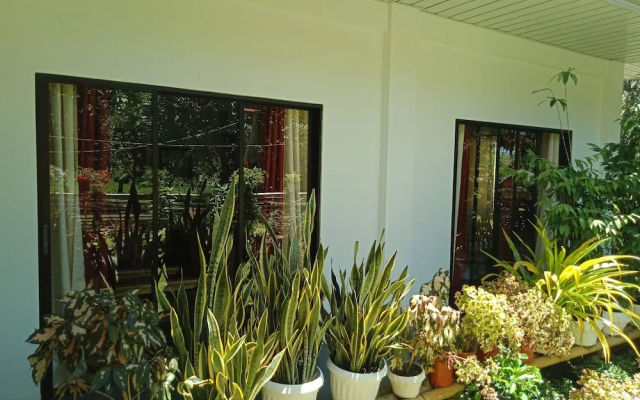 Bohol 3 Bedroom Villa