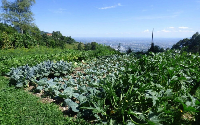 Damarco Alloggio Turistico Locanda