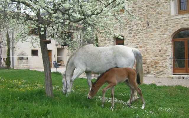 La Chapelle Saint Gervais