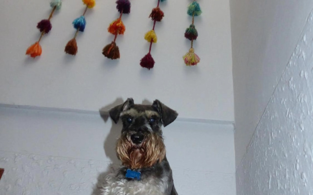 Lighthouse Bed And Breakfast