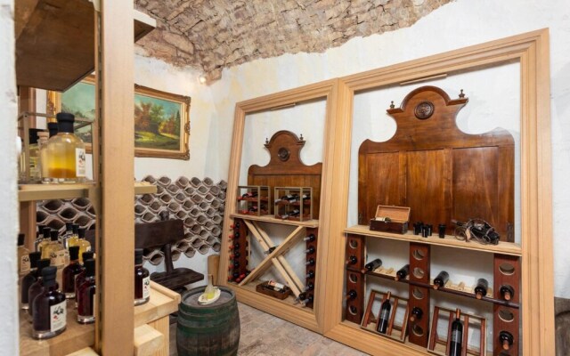 Villa Di Vino in Orbani i