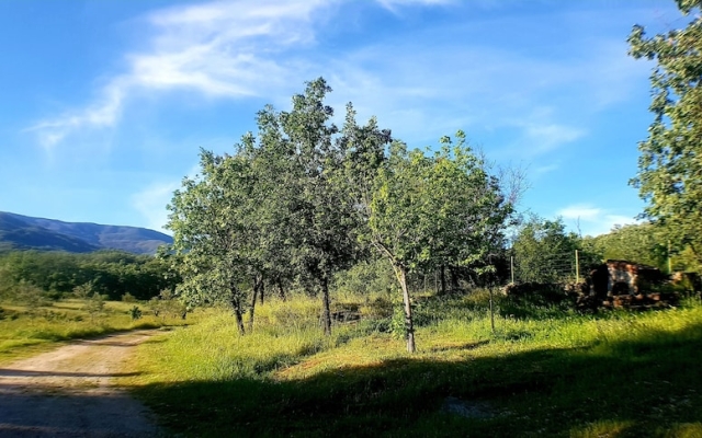 Casa Rural Colmenarejo