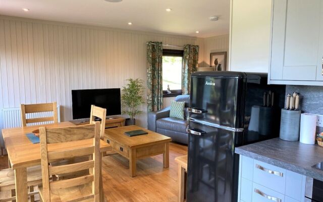 Birch Lodge 21 With Hot Tub, Newton Stewart