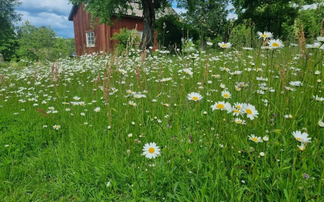 Skölvs Gård