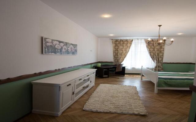 Luxury Central apartment in Sibiu