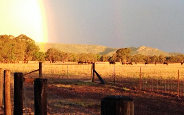 Spring Creek Cottage B&B