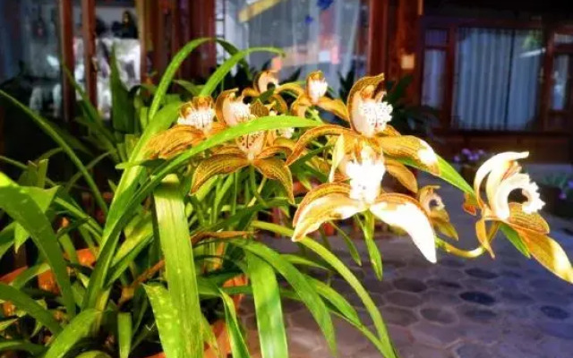 Floral Hotel·Yunjing Zhinan Hotel(Dayan Gucheng dashuiche store)