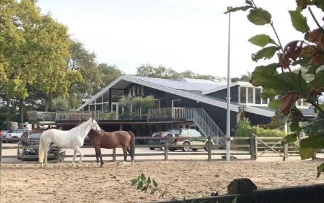 Loft aan Zee Schoorl Penthouse