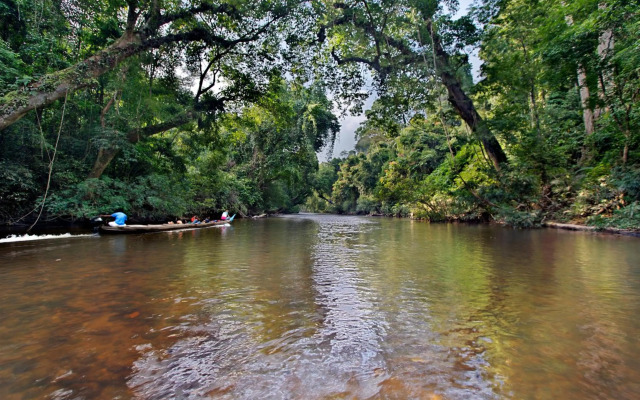 Mutiara Taman Negara