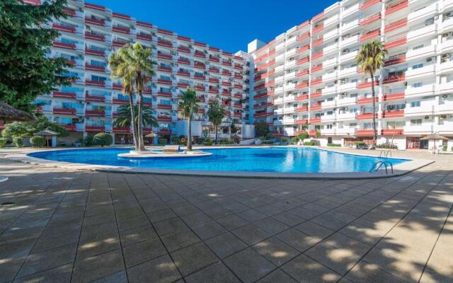 Nice Studio in Siesta 2 in Puerto Alcudia 2
