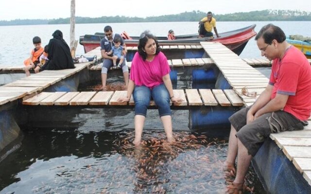 Pelli Riverine