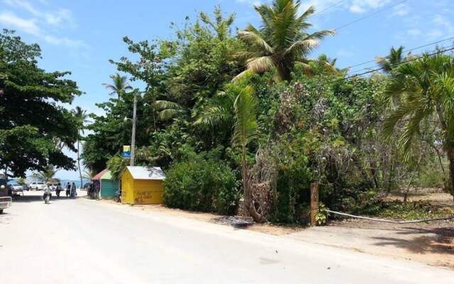 Hostel La Ballena Backpacker