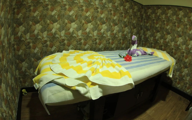 Hotel Piccadily Manali