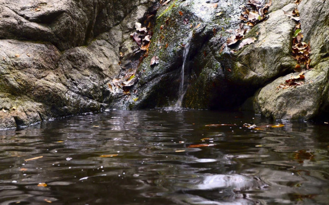 Posadas Ecoturisticas San Rafael