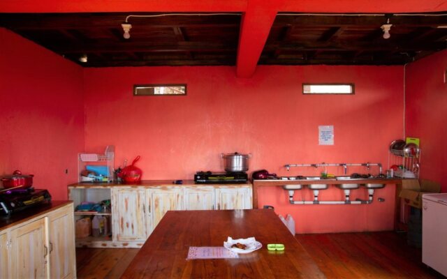 One Tree Hill - Hostel