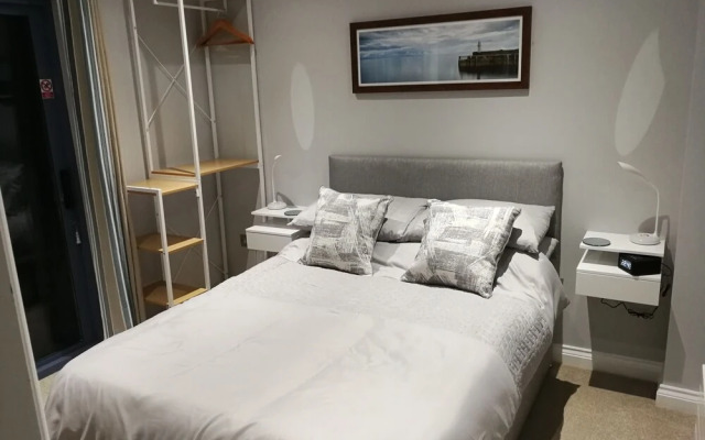 Blue Mackerel - Adults Only