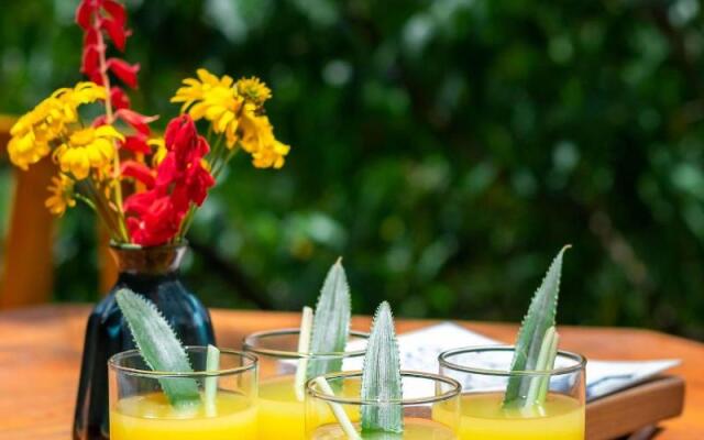 Sapa Riverside Ecolodge & Spa