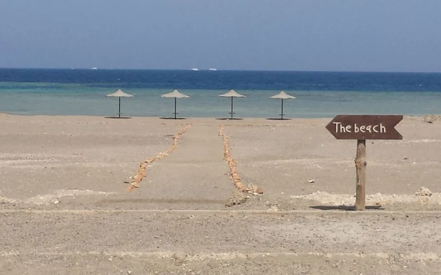 Shark paradise-Adults Only