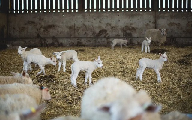 Owen House Farm