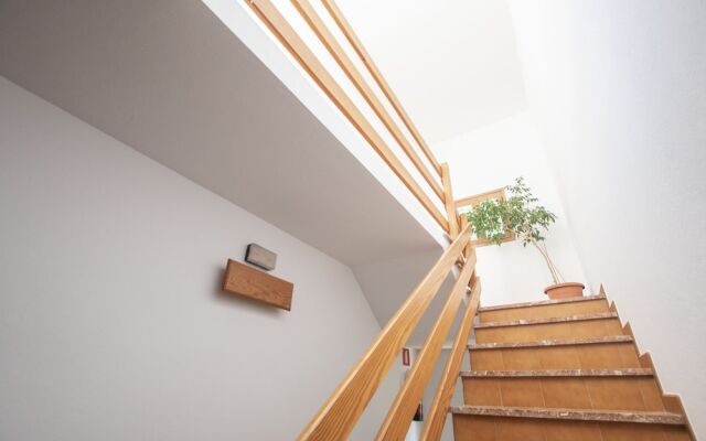 Bosc y Sol - Formentera Libre