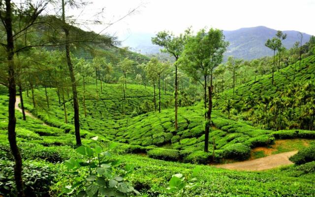 BlueMoon Homestay - Near to falls & Trekking