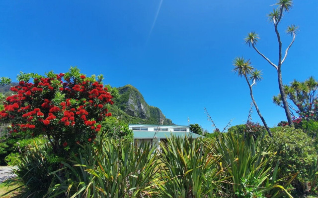 Punakaiki Beach Camp