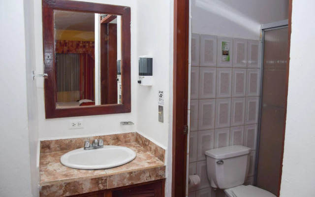 Hotel Amón Real