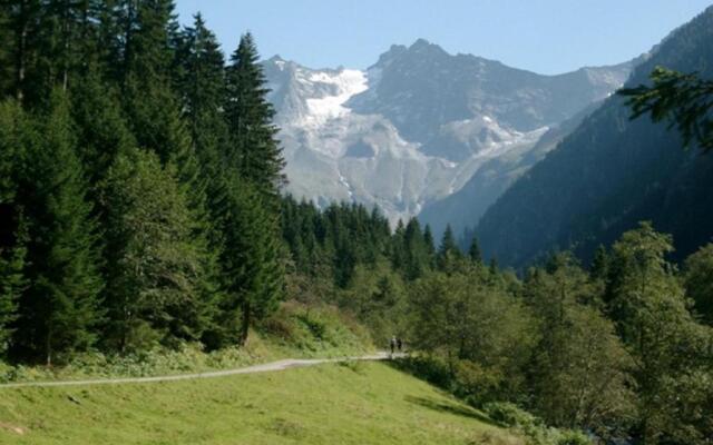 Chalet Helene