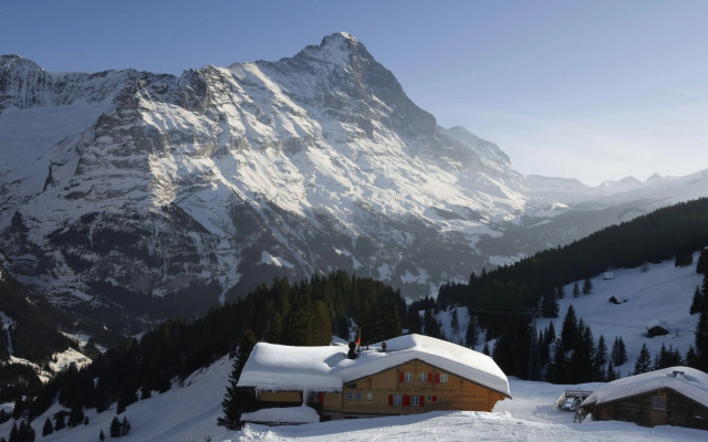 Alpinhotel Bort