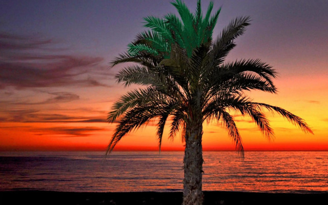 Arrayanes Playa Hotel
