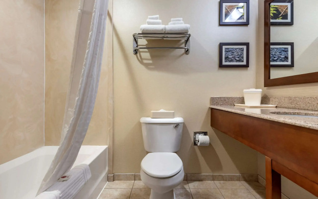 Comfort Inn & Suites Farmington - Victor