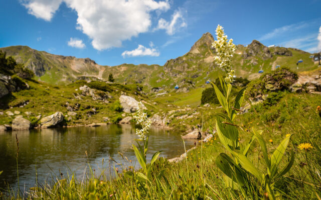 Holiday Home Steindlwald