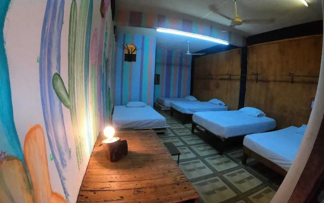 El Coyote Hostal and Surf - Hostel