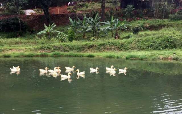 Three Hills Coorg