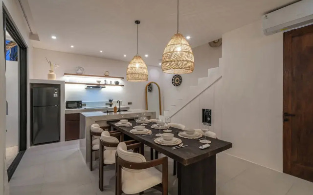 Nova Oasis 1