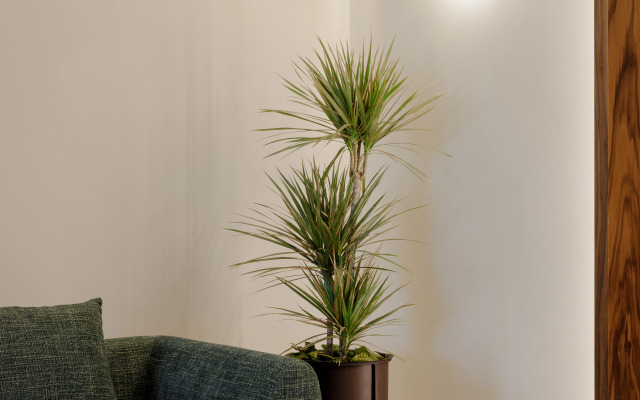 Porto River Soul Hotel