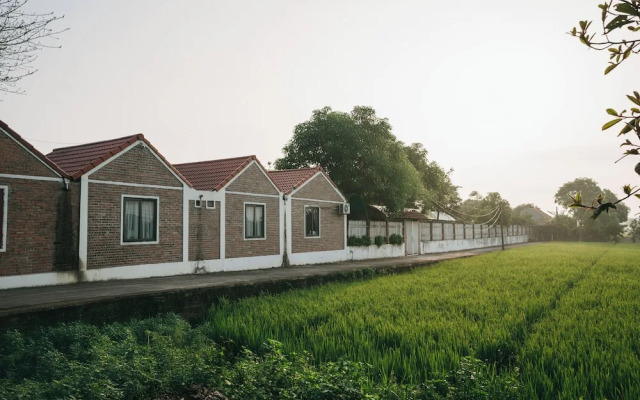 Tam Coc Ninh Binh Bungalow