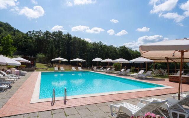 Vigna La Corte - Paolo (DCO175)