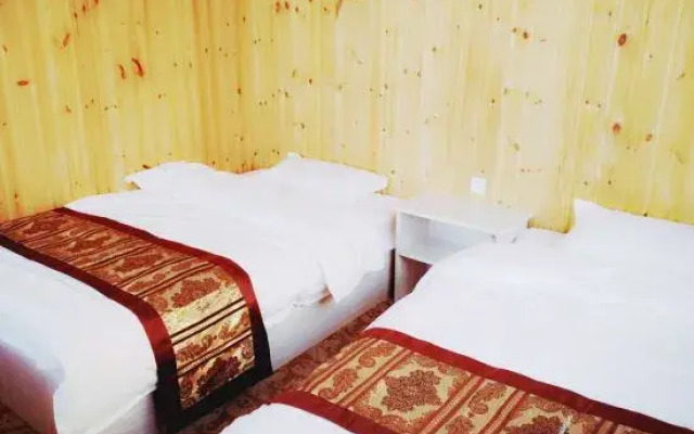 Dream in Hostel
