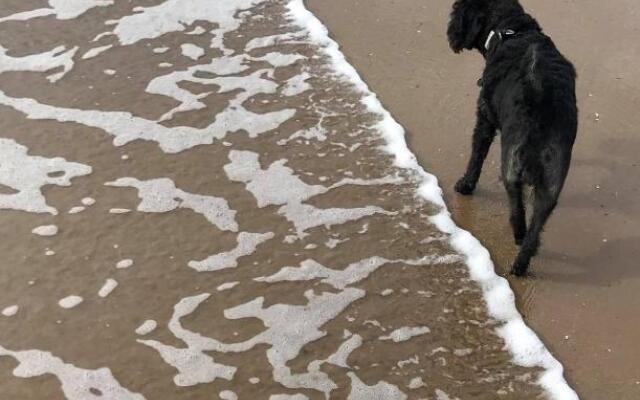 The Sun Trap @ Bridlington's Bed & Bowl Beach Breaks