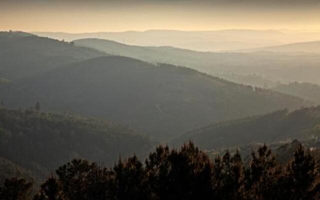 12 Meses Naturalmente