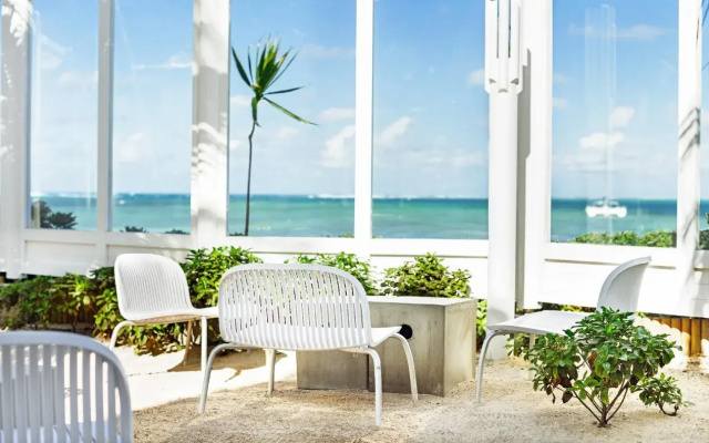 Tropical Attitude - Adults only